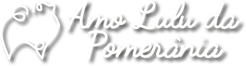 Bem Vindo à Amo Lulu da Pomerânia