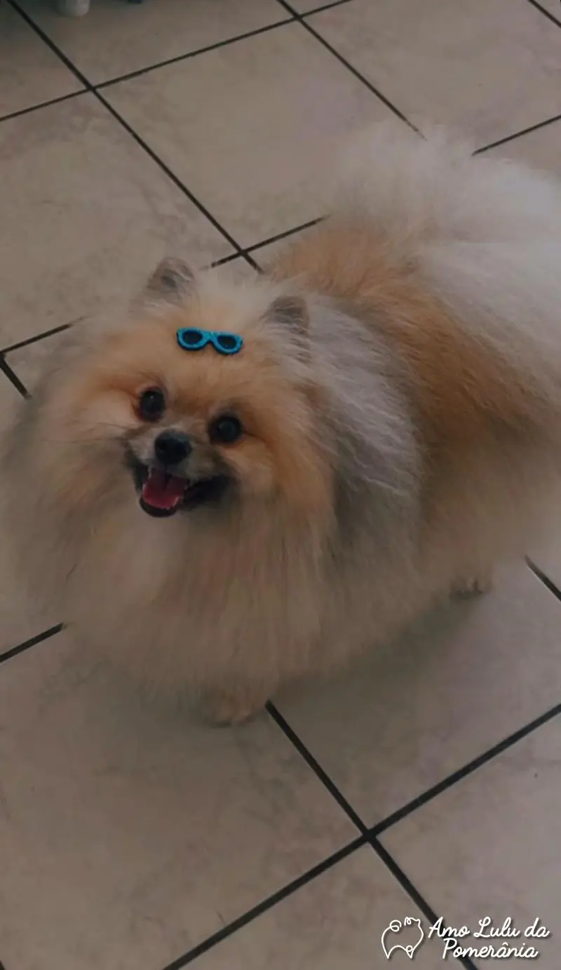 Beatriz Bernardo Macedo