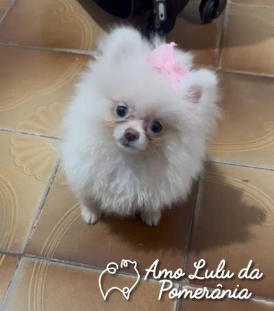 Franciele Machado da Silva 